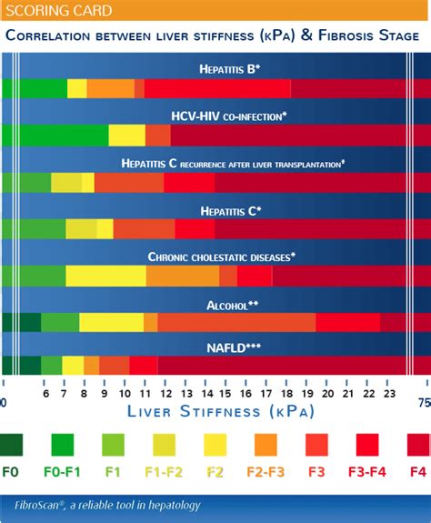 fibroscan results chart|Understanding Your Liver Elastography (FibroScan®) Results.